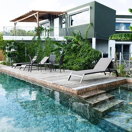 T3 Lumineux Avec Vue Exceptionnelle Et Piscine Oasis De Nature Et Serenite Petit-Canal Eksteriør bilde
