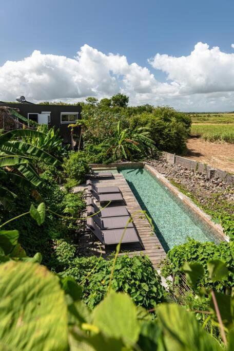 T3 Lumineux Avec Vue Exceptionnelle Et Piscine Oasis De Nature Et Serenite Petit-Canal Eksteriør bilde
