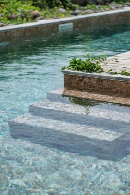 T3 Lumineux Avec Vue Exceptionnelle Et Piscine Oasis De Nature Et Serenite Petit-Canal Eksteriør bilde