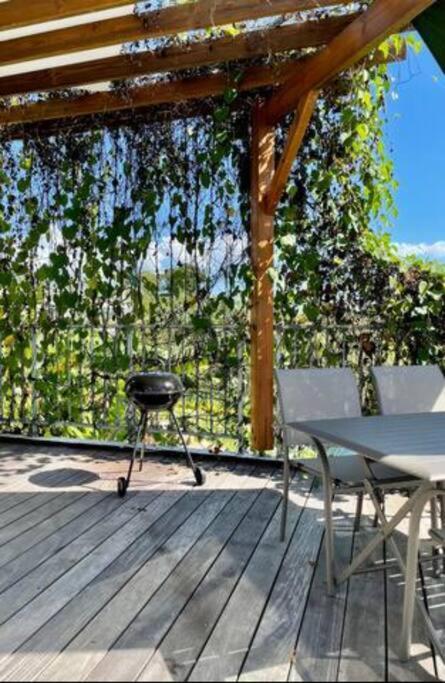 T3 Lumineux Avec Vue Exceptionnelle Et Piscine Oasis De Nature Et Serenite Petit-Canal Eksteriør bilde